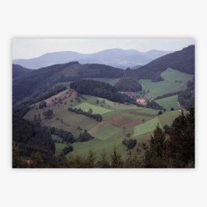 The Black Forest