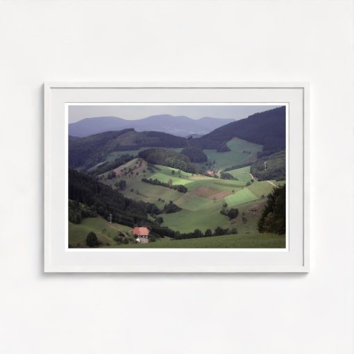 The Black Forest - Image 5