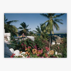 The Lure Of Lamu