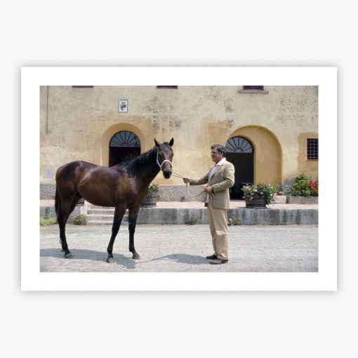 The Marchese - Image 2