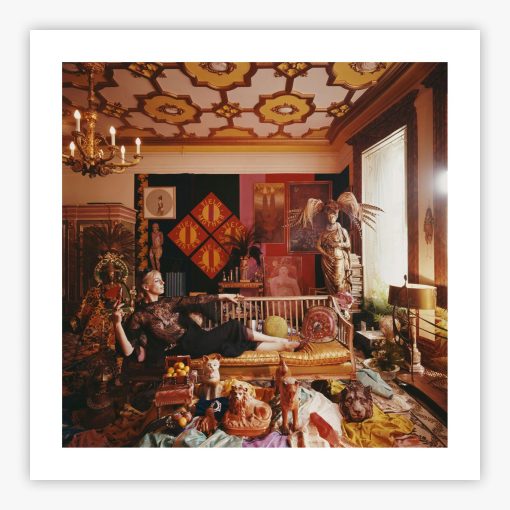 Tiger Morse - Image 2