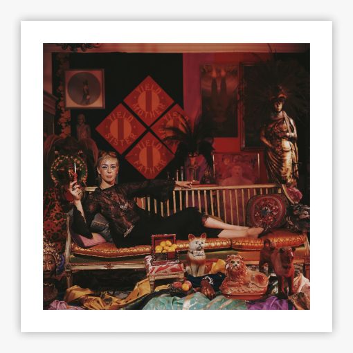 Tiger Morse - Image 2