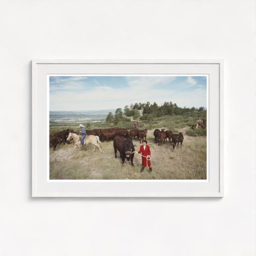 Tweet Kimball - Image 5