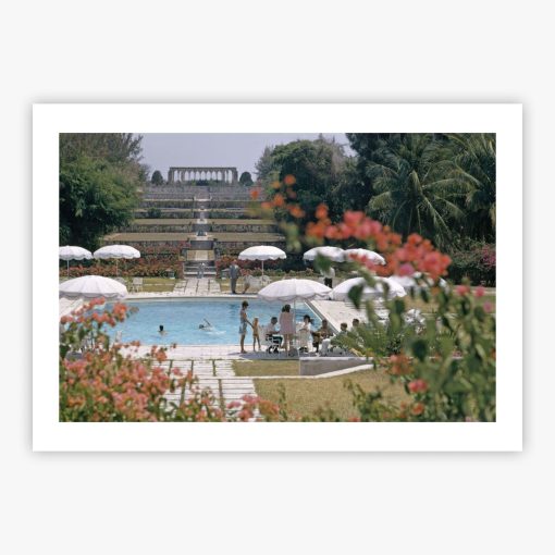 Versailles Gardens - Image 2