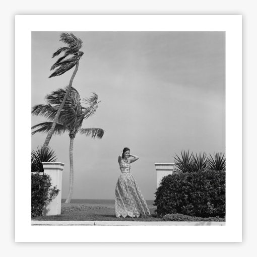 Wendy Vanderbilt - Image 2