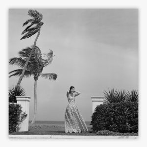 Wendy Vanderbilt