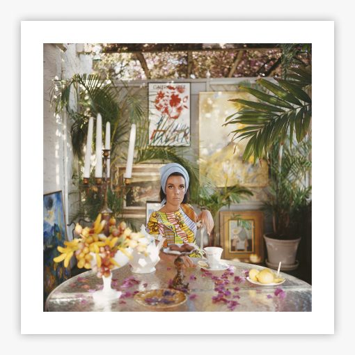 Wendy Vanderbilt - Image 2