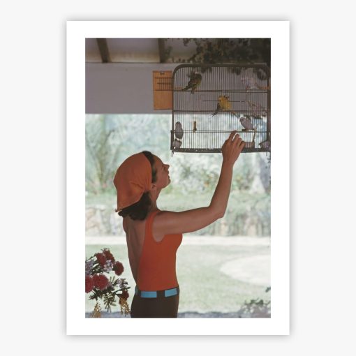 Woman With Caged Birds - Image 2